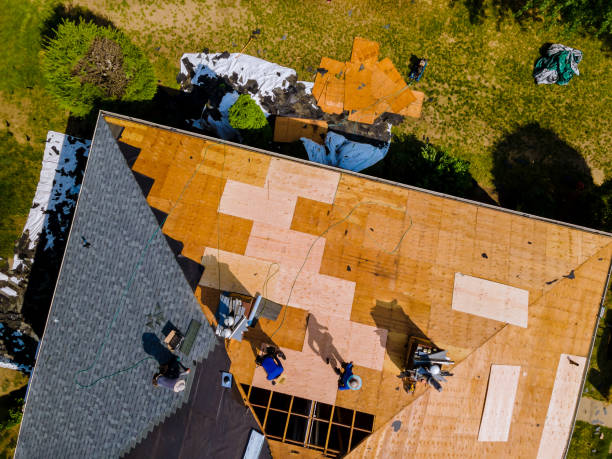 Best Roof Gutter Cleaning  in Albemarle, NC